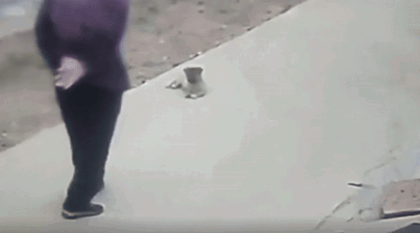 CTusun.gif
