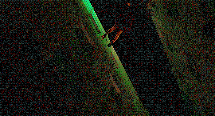 CVXtQU.gif
