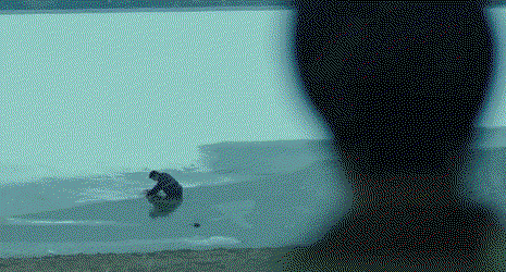 CWRysB.gif