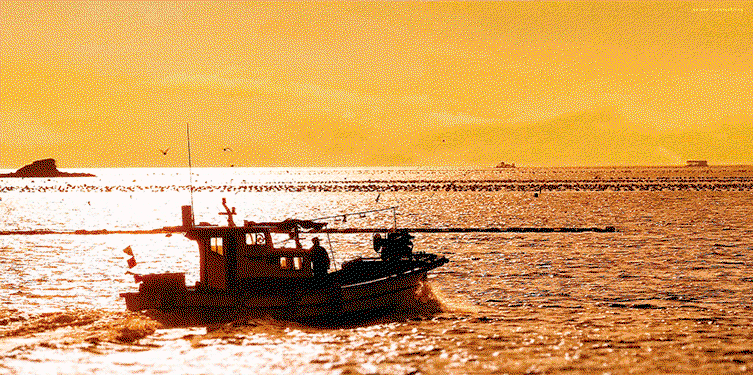CWaAnJ.gif