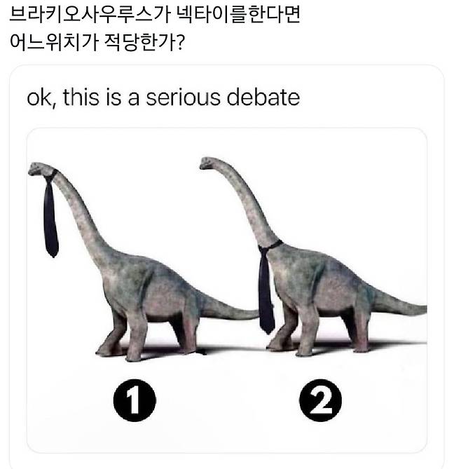 CXtryb