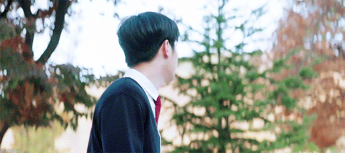 CaCBBg.gif