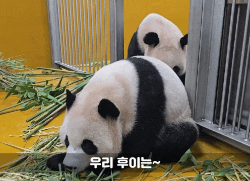 CbgbHL.gif