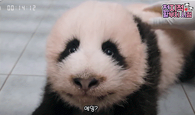 CbkpOF.gif