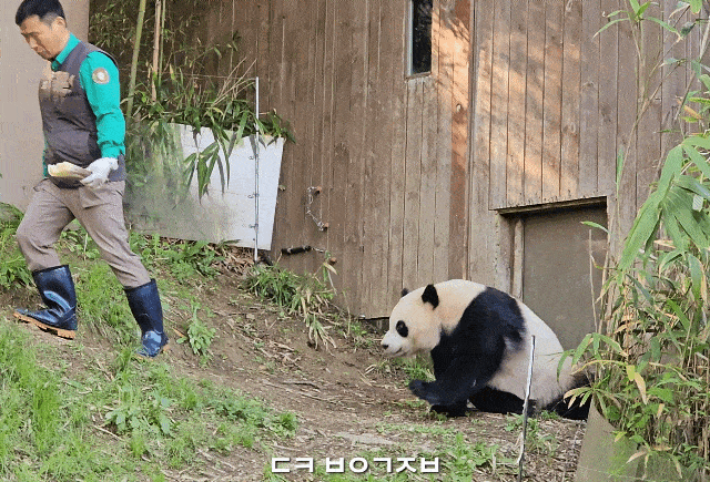 CcYpKI.gif