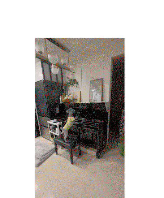 CeKomC.gif