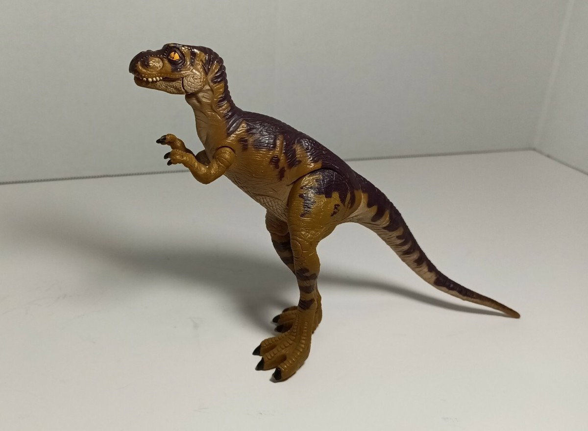 CeSaOX