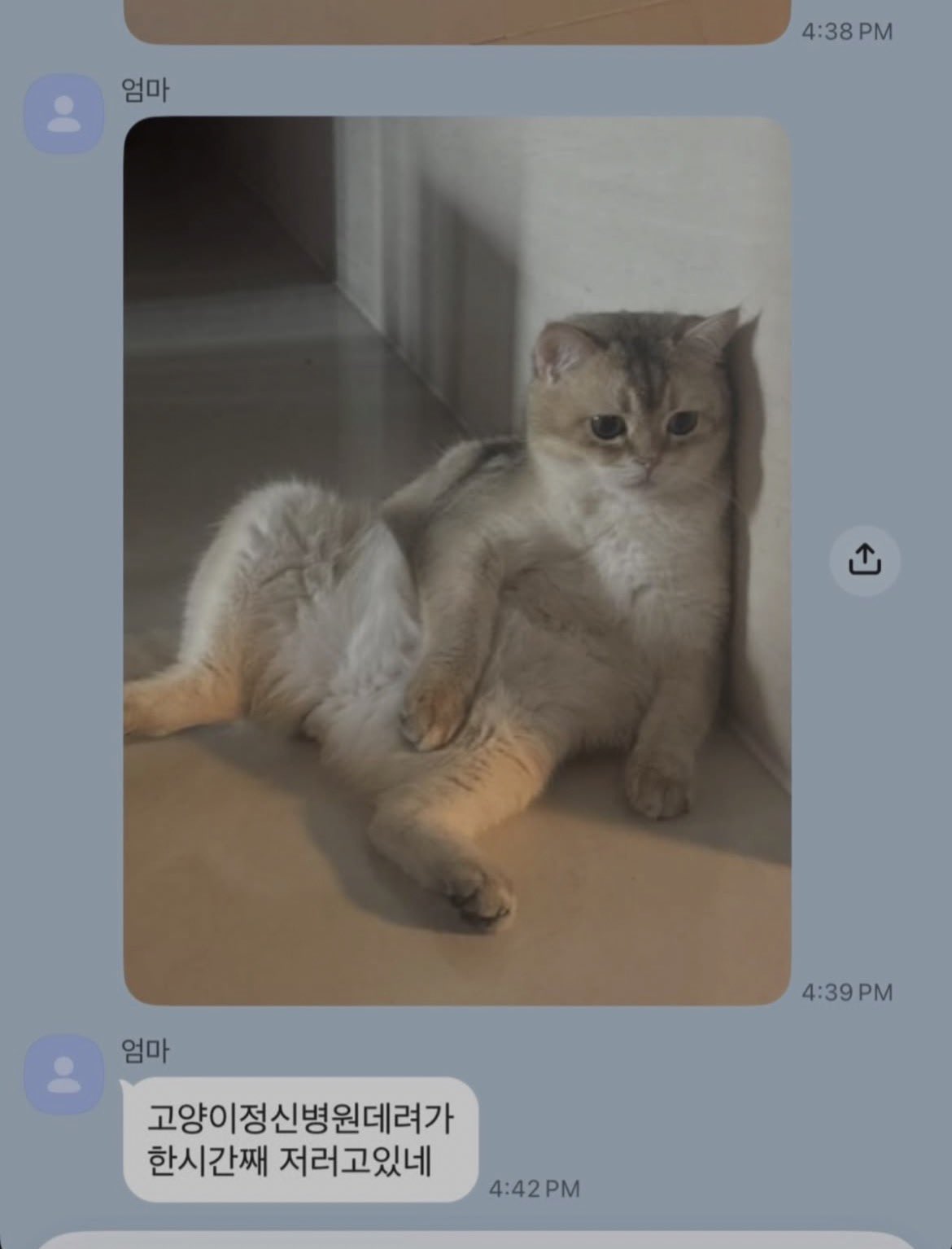 CfcvoK