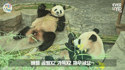 CiLFwz.gif