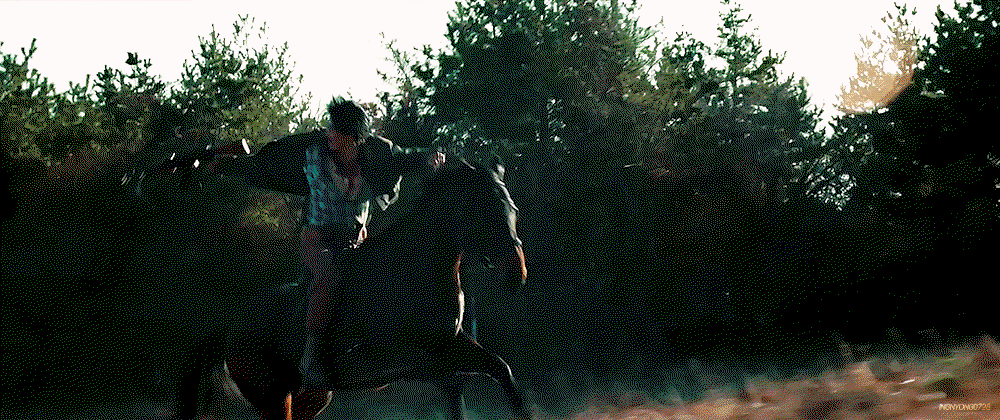CjJqkH.gif