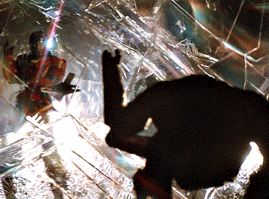 CmPDMU.gif