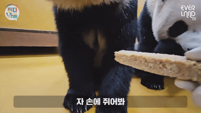 CobMrQ.gif