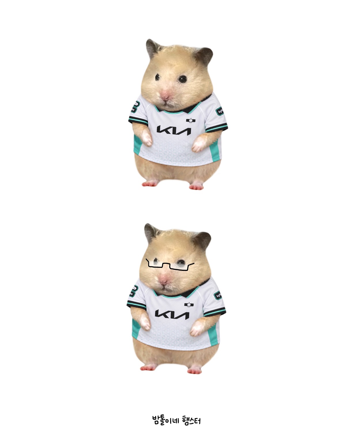 CogKwr