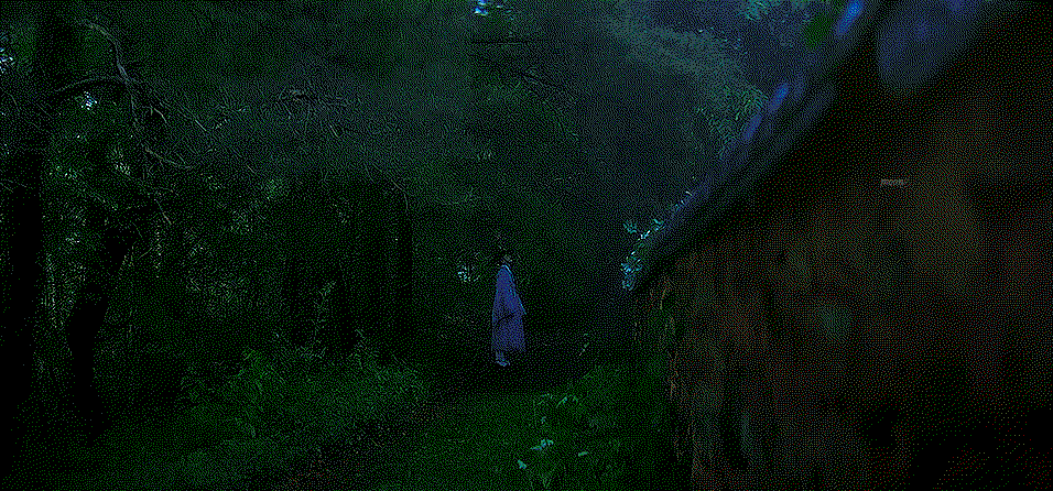 CoifSl.gif