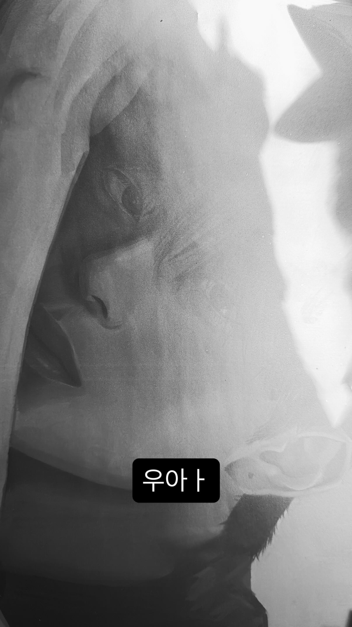 CsMuOL