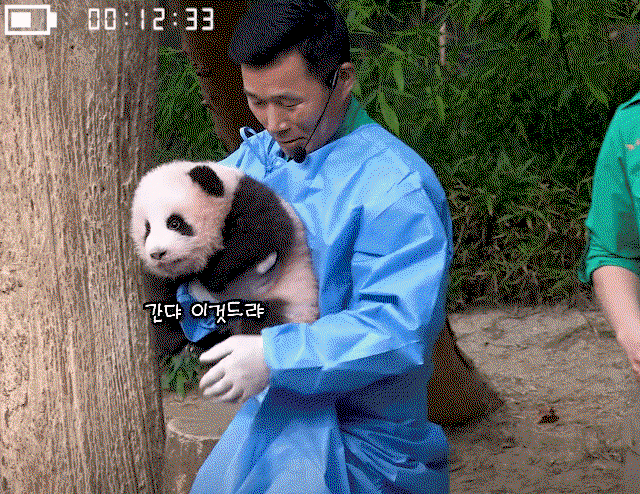 CtPbPz.gif