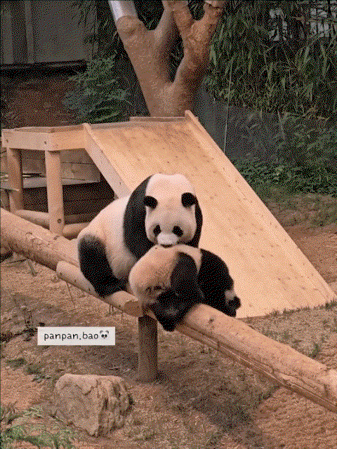 CtaVRB.gif