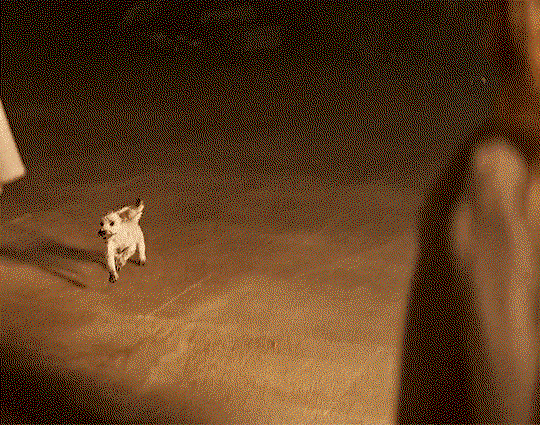 CuIewA.gif