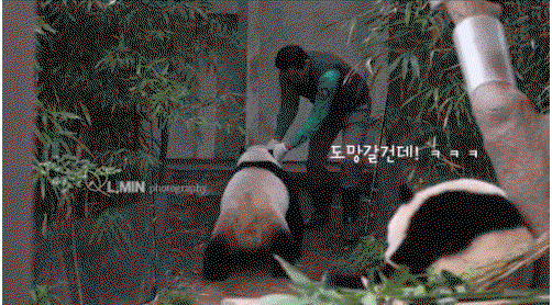 CucxdI.gif