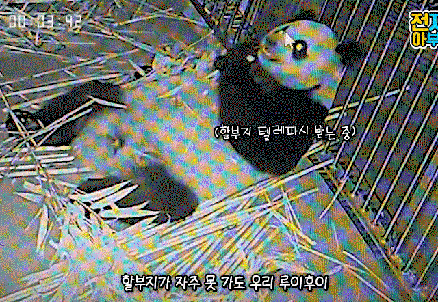 CxYNuL.gif