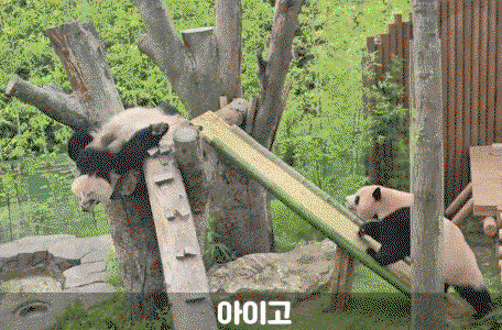 CyOzPr.gif