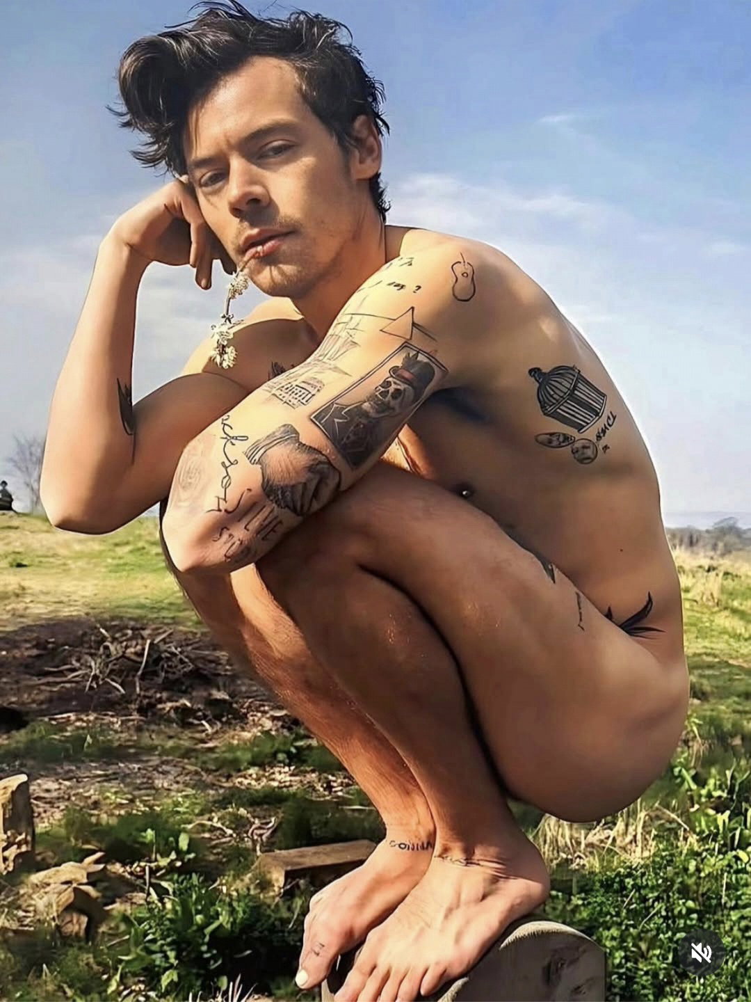 CygeuX