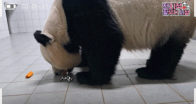 DCdsjx.gif