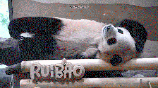 DCojeO.gif