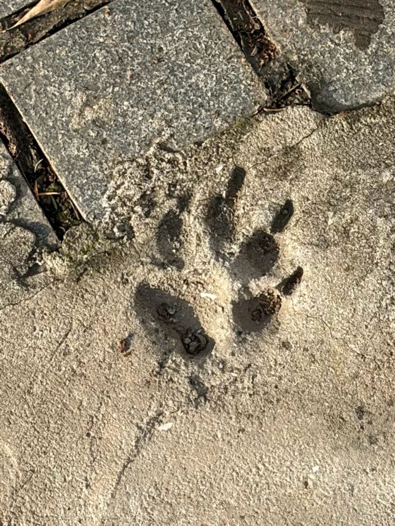 DEKATS