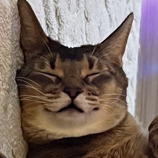 DFMfFr