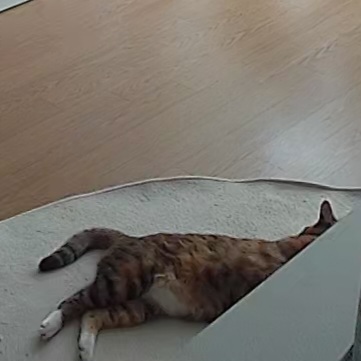 DFerLj