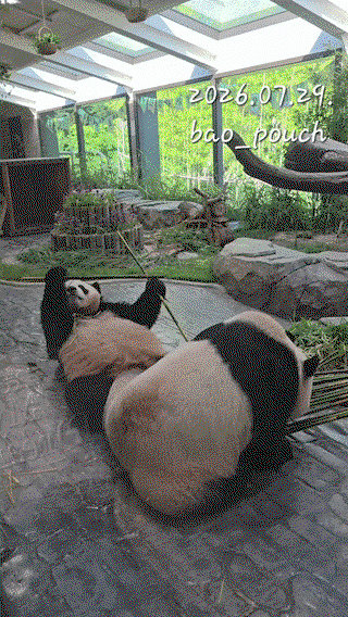 DFqZmU.gif
