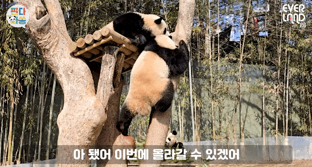 DHxjRU.gif