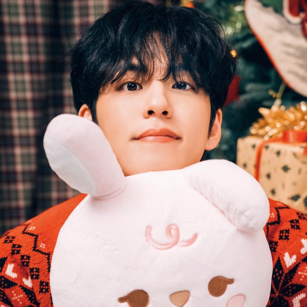 Lovin' the Christmas