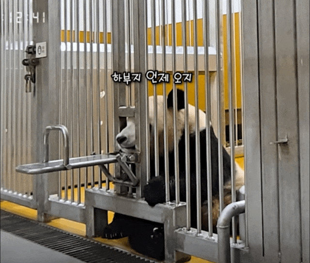 DJPMNc.gif