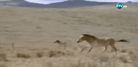 DKuvFX.gif