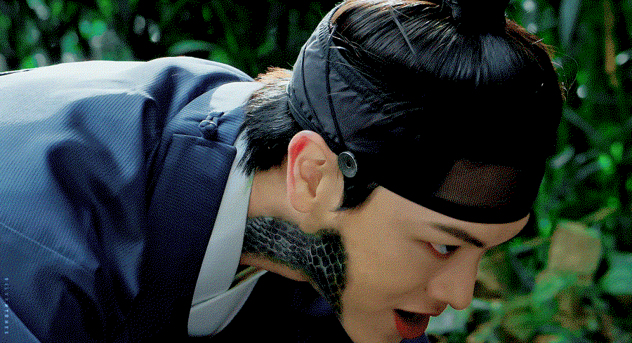 DMDfoL.gif