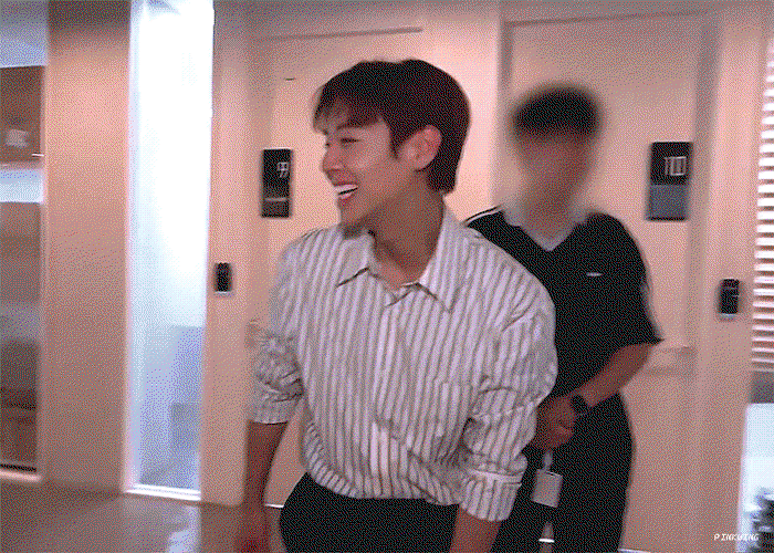 DNEBCC.gif