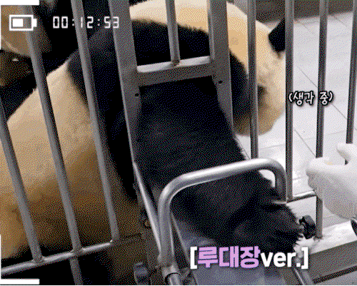DOFluL.gif
