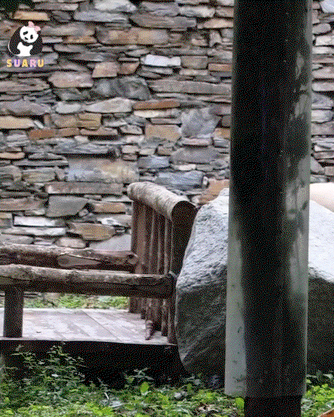 DObcDC.gif