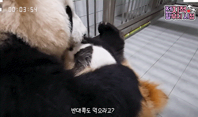 DQPTfN.gif