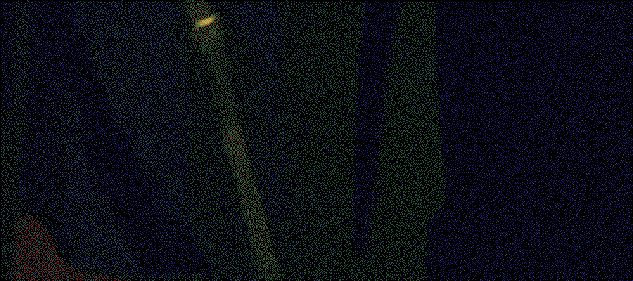 DRMLfE.gif