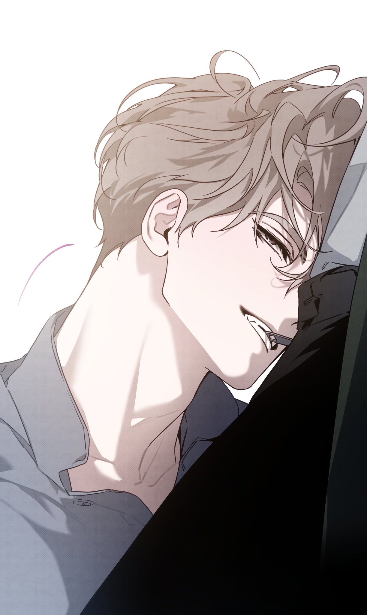 DVNLDp