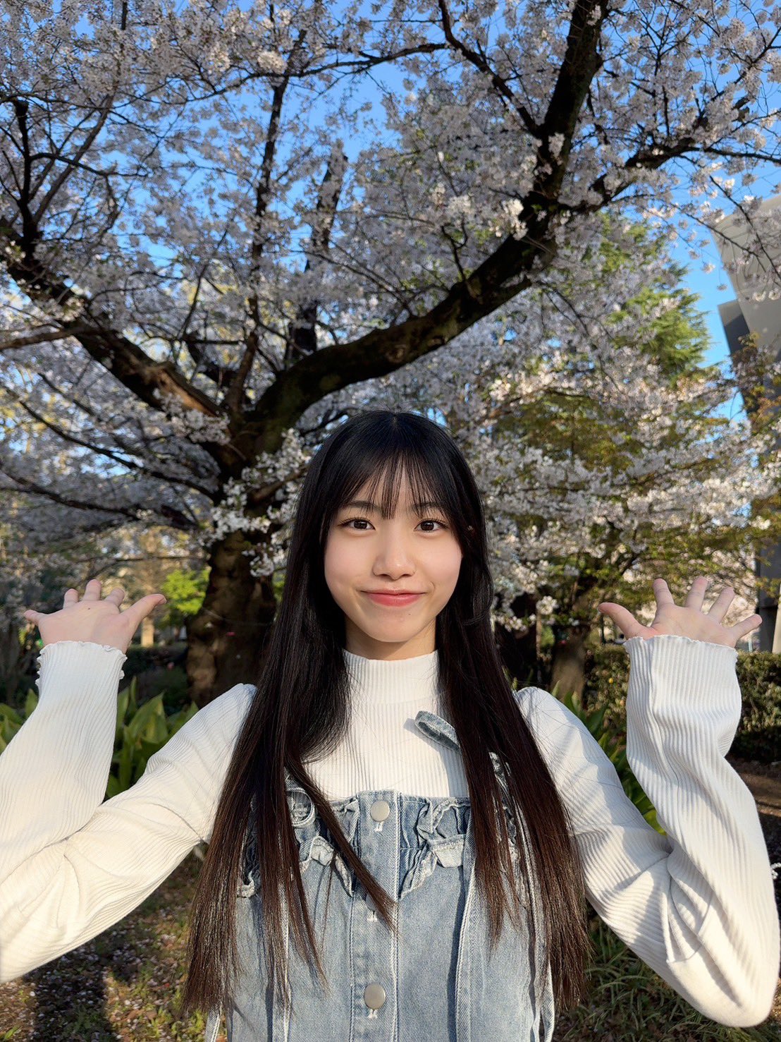 DWikOh