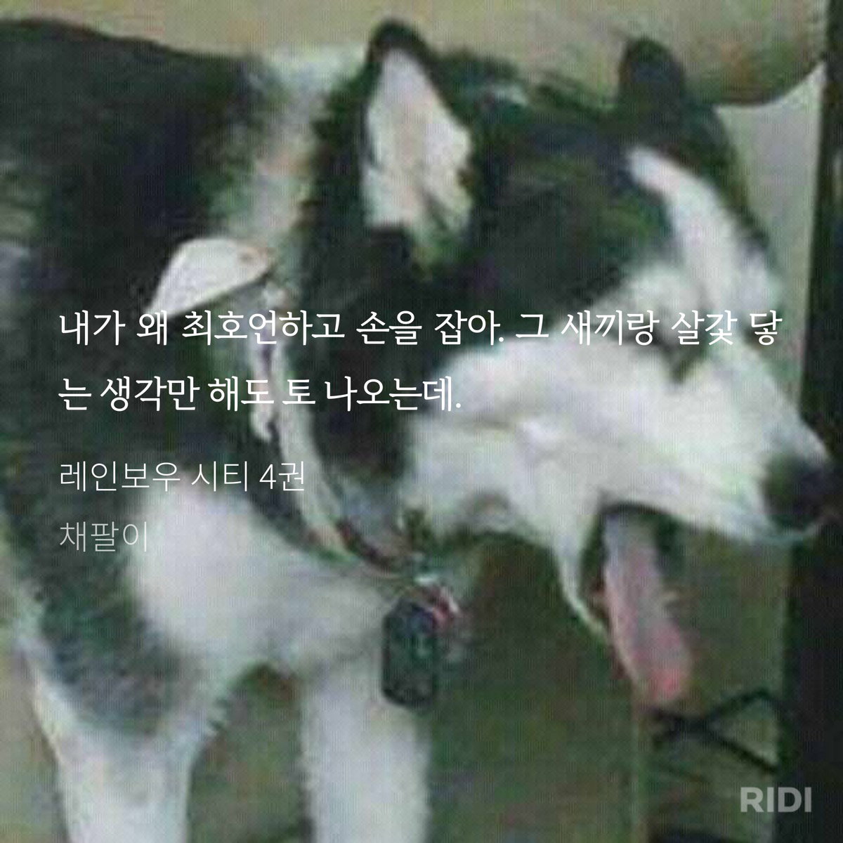 DYXFdZ