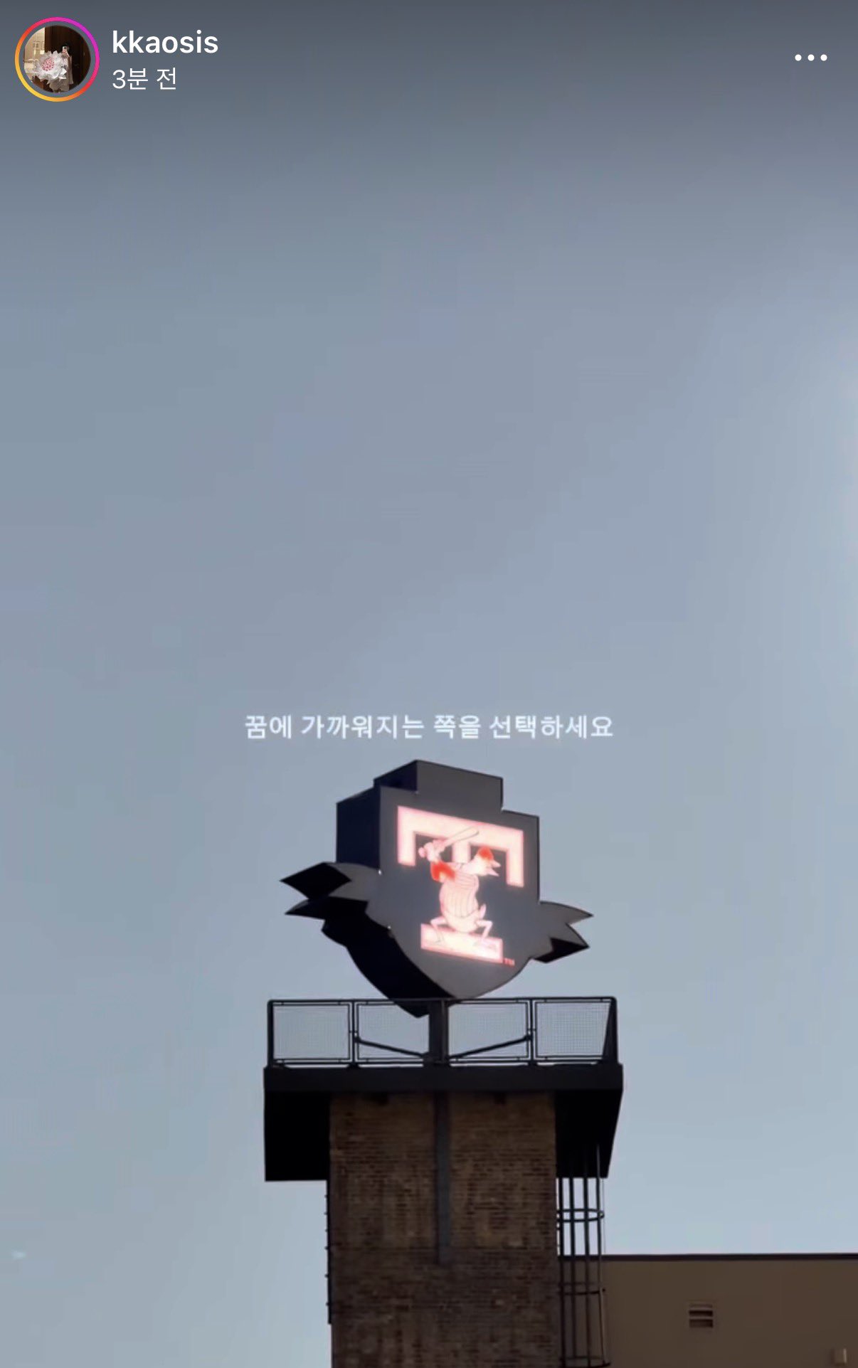 DZFkWs