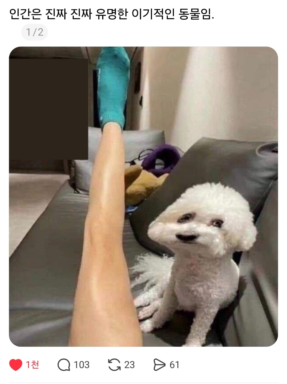 DaSyuT