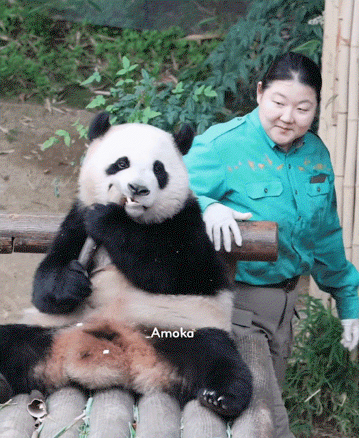 DabUOt.gif