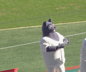 DaiVbC.gif