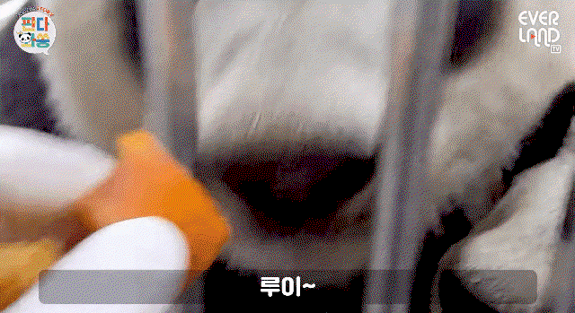 DarbXz.gif